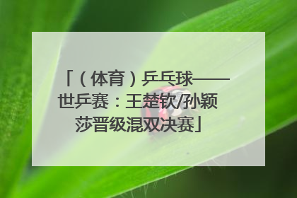 （体育）乒乓球——世乒赛：王楚钦/孙颖莎晋级混双决赛
